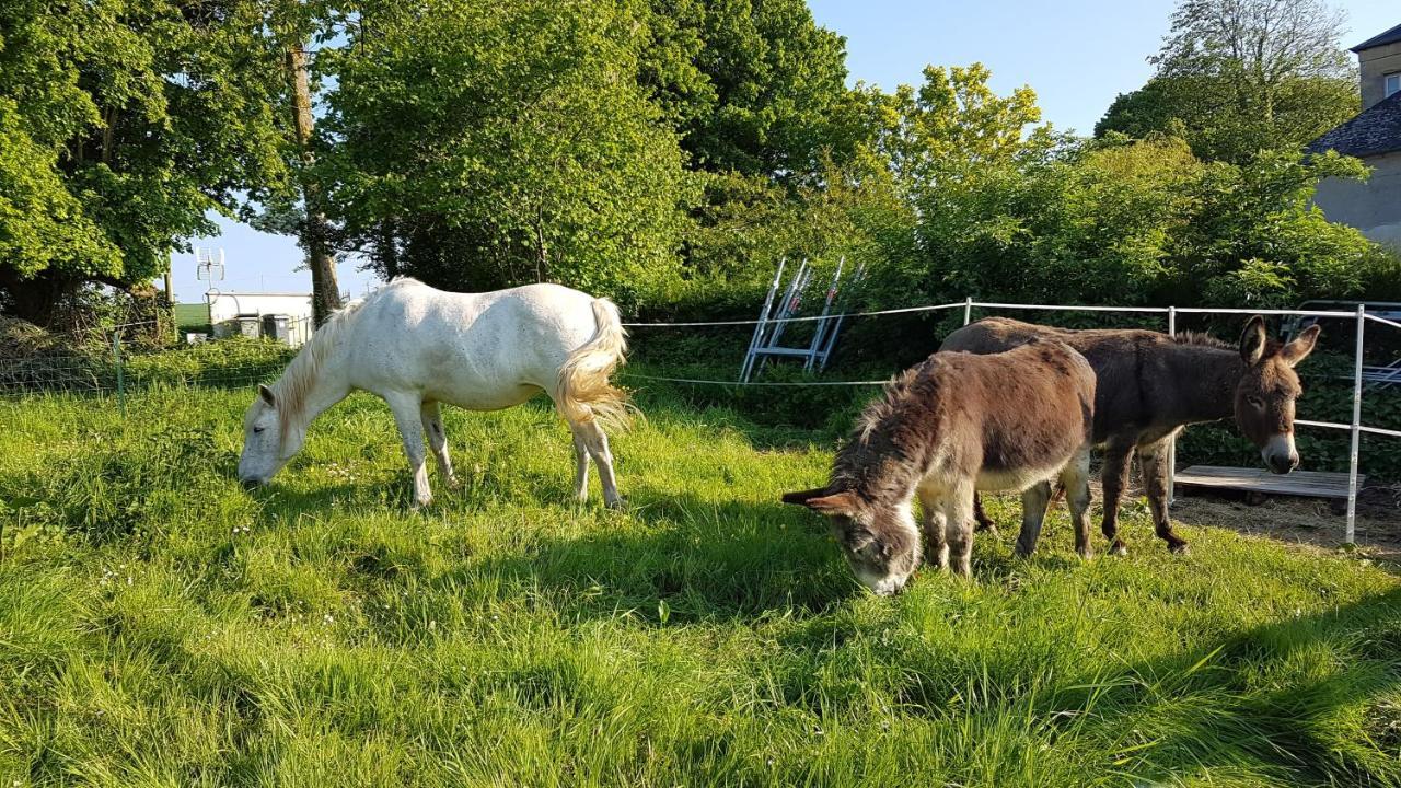 La Bergerie Du Mesnil Bed and Breakfast Livry  Buitenkant foto